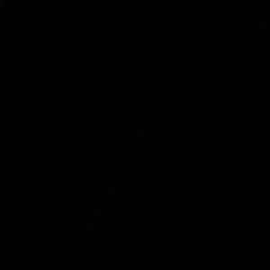 Meet your Posher, Bailey